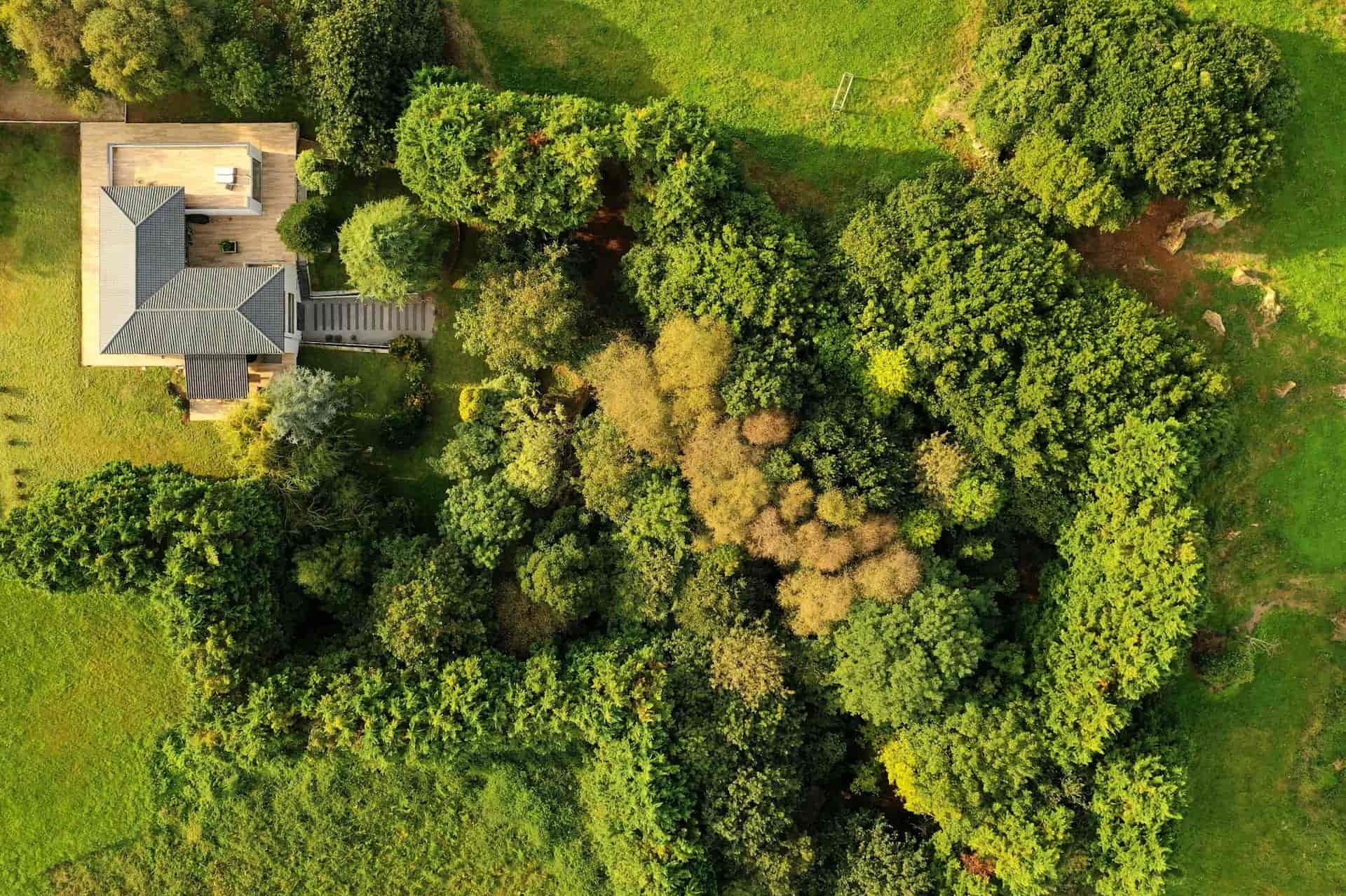 Bosque privado de Casa ALPHA, Miengo Cantabria